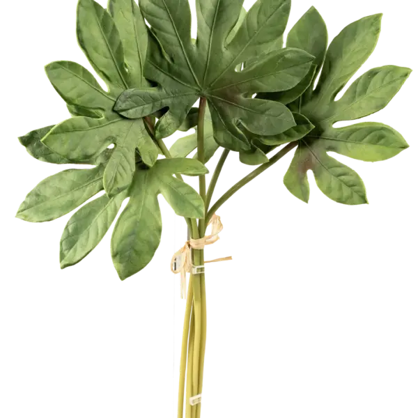 Artificial Fatsia Leaf — Garden Green Bundle | Vyne Boutique