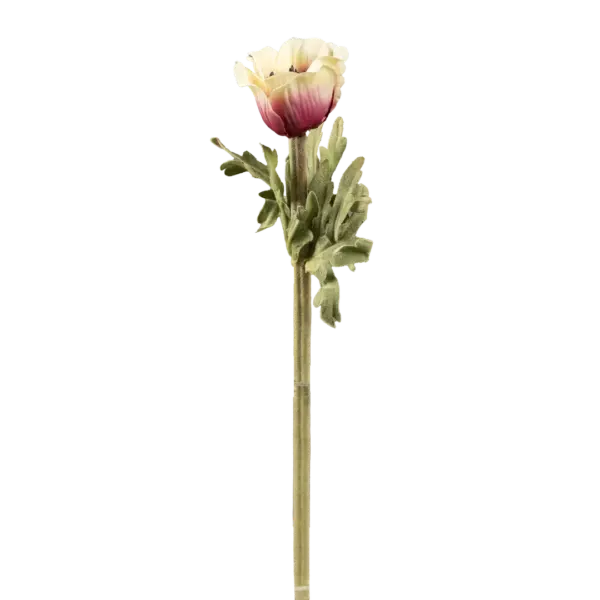 Artificial Anemone Flower — Ivory Dip | Vyne Boutique