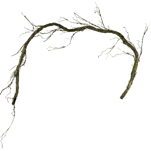 Artificial Mossy Branch — Forest Undergrowth | Vyne