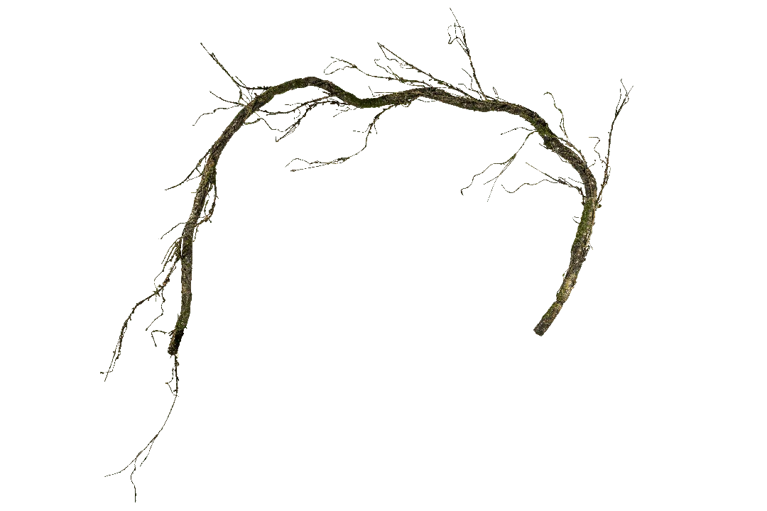 Woodland Mossy Branch (Forest Undergrowth) - ZM6 | Vyne Artificial Mossy Branch — Forest Undergrowth | Vyne
