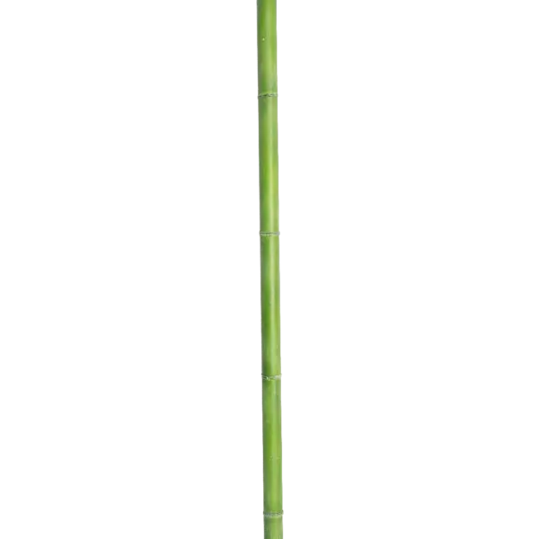 Artificial Branch Stem ZM7 | Vyne Boutique