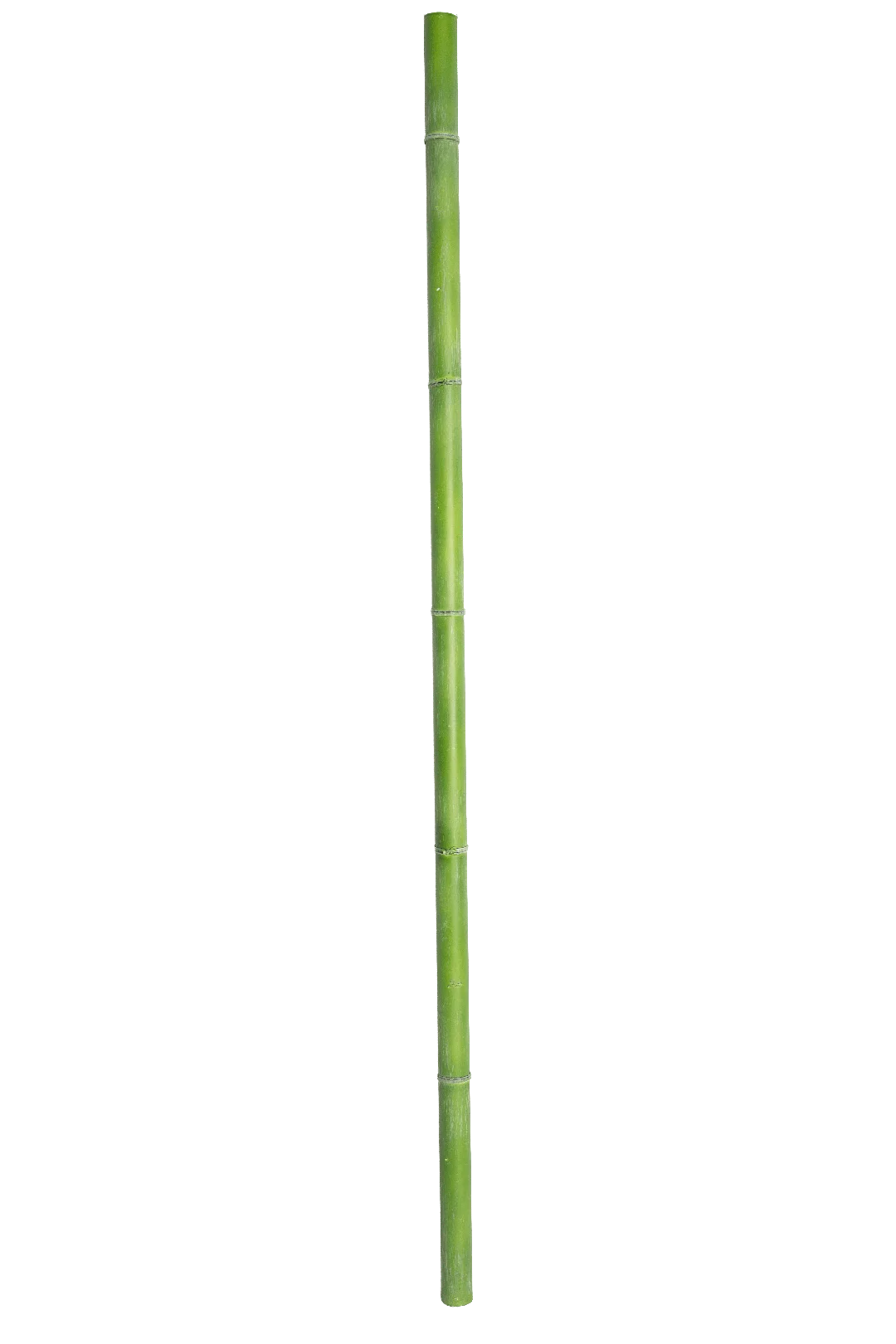 Artificial Plants ZM7 | Vyne Artificial Branch Stem ZM7 | Vyne Boutique