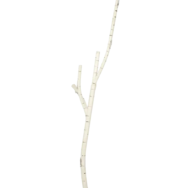 Artificial Birch Branch — ZM8 | Vyne Boutique