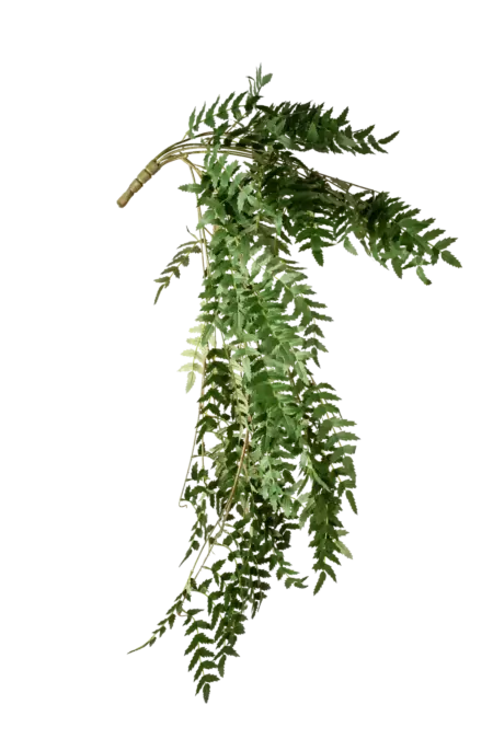Artificial Boxwood Spray — Deep Green | Vyne Boutique