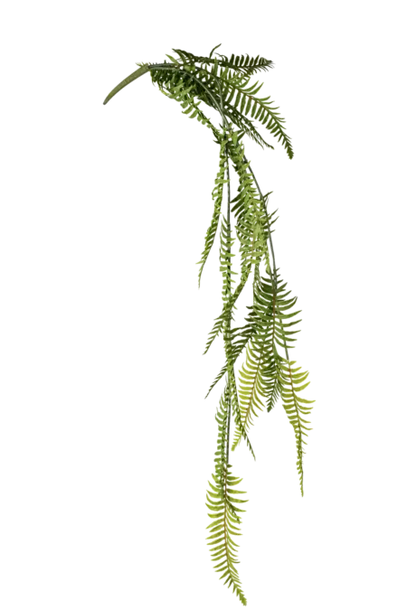 Artificial Leatherleaf Fern — Classic Green | Vyne Boutique