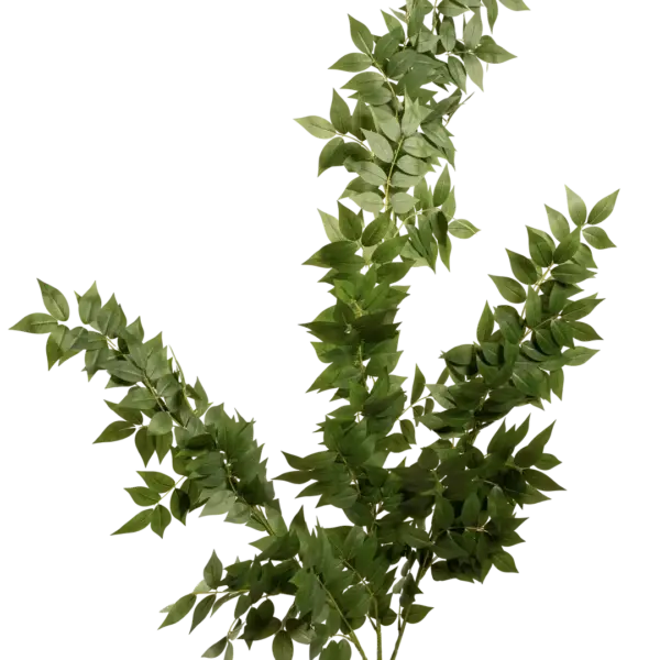 Artificial Ruscus Foliage — Classic Green | Vyne Boutique