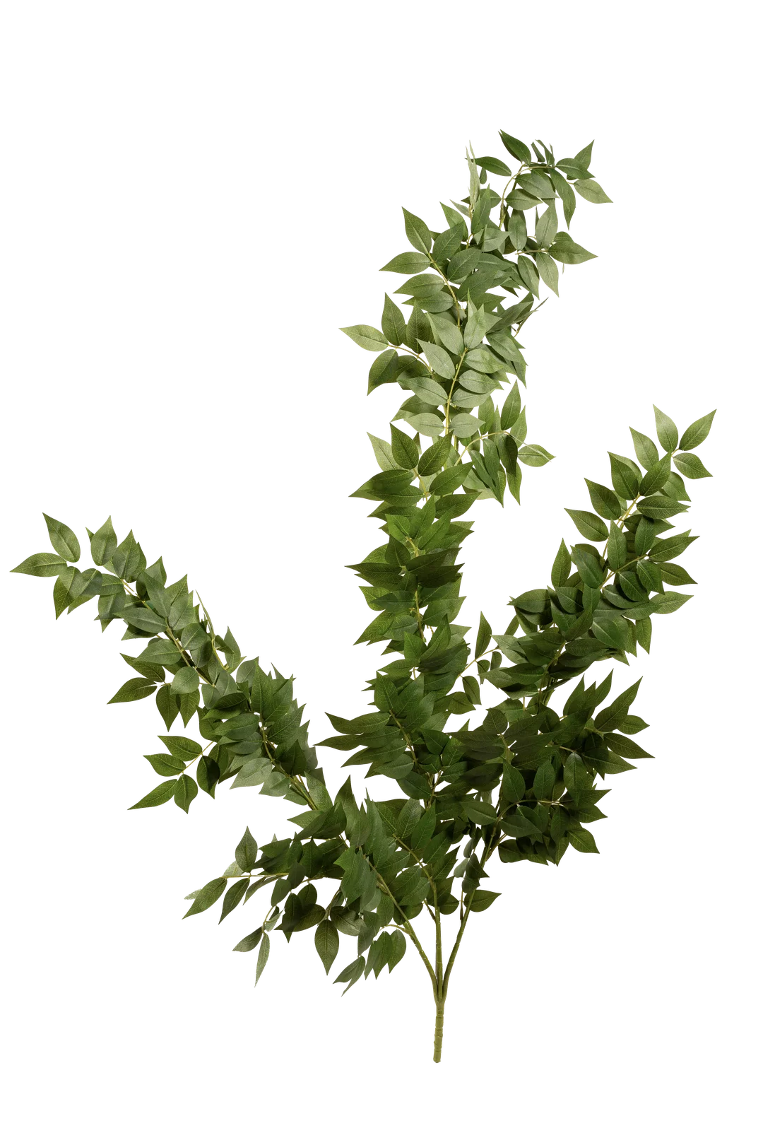Ruscus (Classic Green) | Vyne Artificial Ruscus Foliage — Classic Green | Vyne Boutique