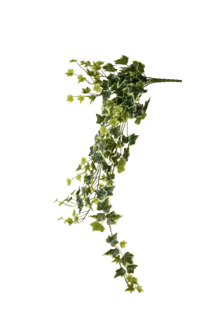 Artificial Ivy Trailing Foliage — Chalk Vein Green | Vyne