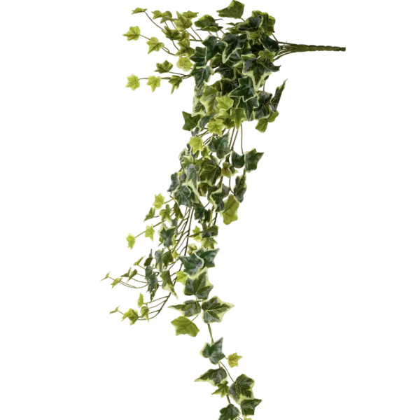 Artificial Ivy Trailing Foliage — Chalk Vein Green | Vyne