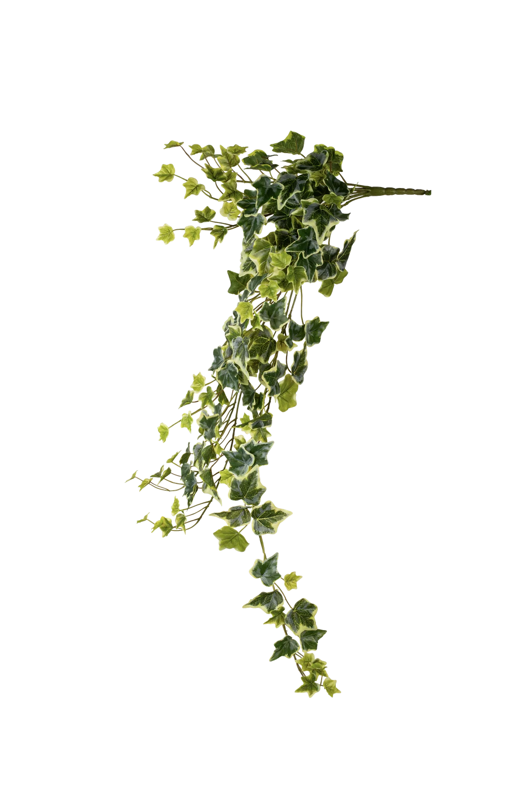 Hedera Ivy (Chalk Vein Green) | Vyne Artificial Ivy Trailing Foliage — Chalk Vein Green | Vyne