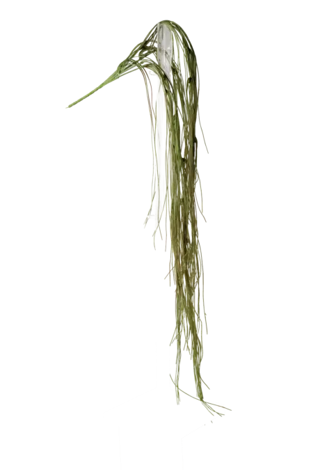 Artificial Bear Grass — Weathered Olive Green | Vyne