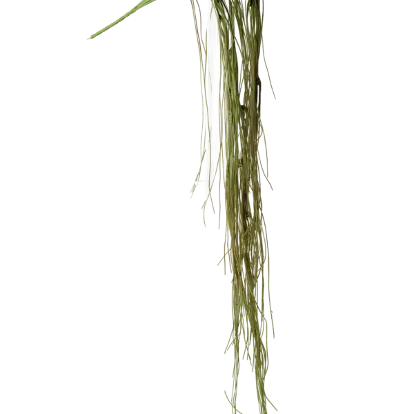 Artificial Bear Grass — Weathered Olive Green | Vyne