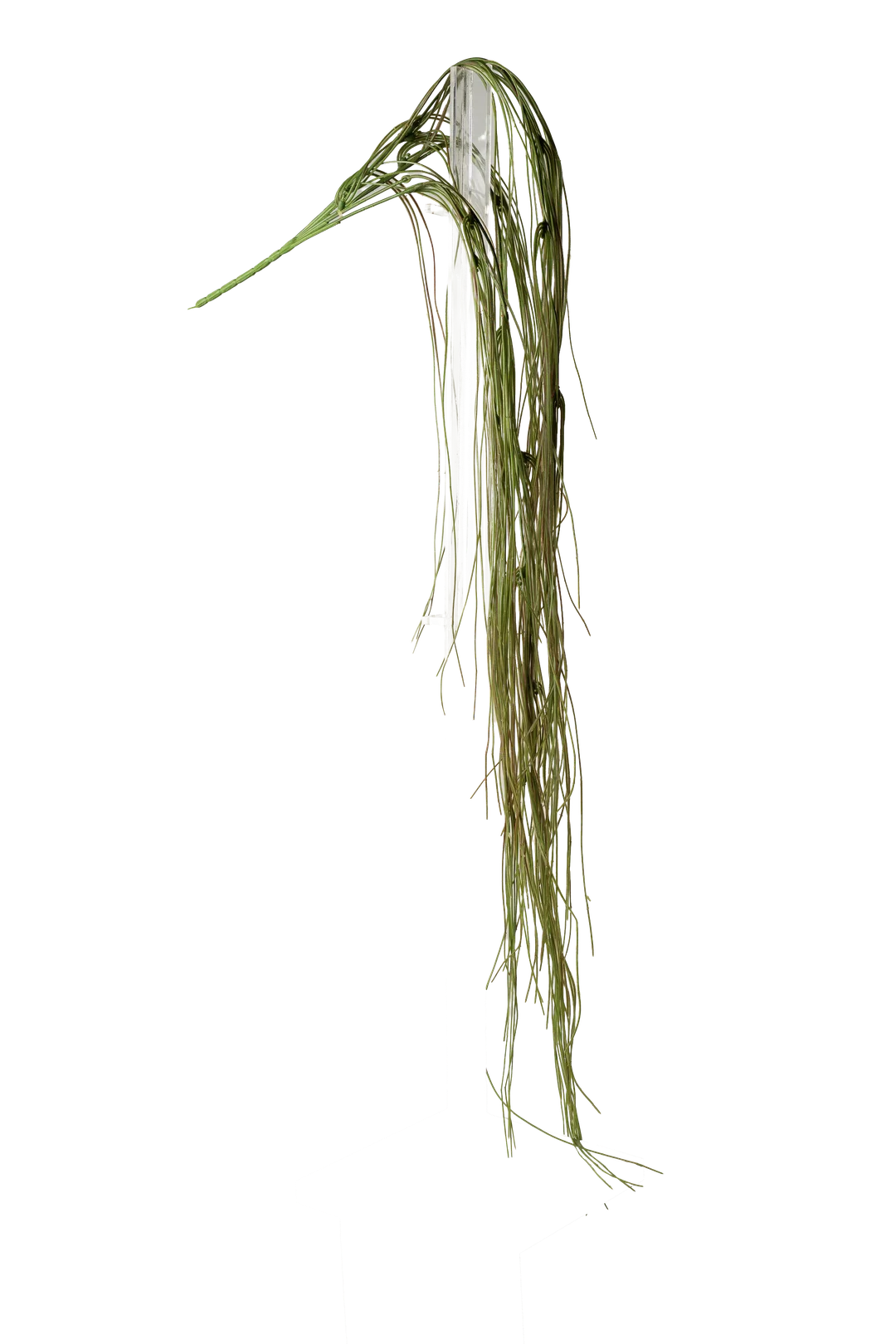 Bear Grass (Weathered Olive) | Vyne Artificial Bear Grass — Weathered Olive Green | Vyne