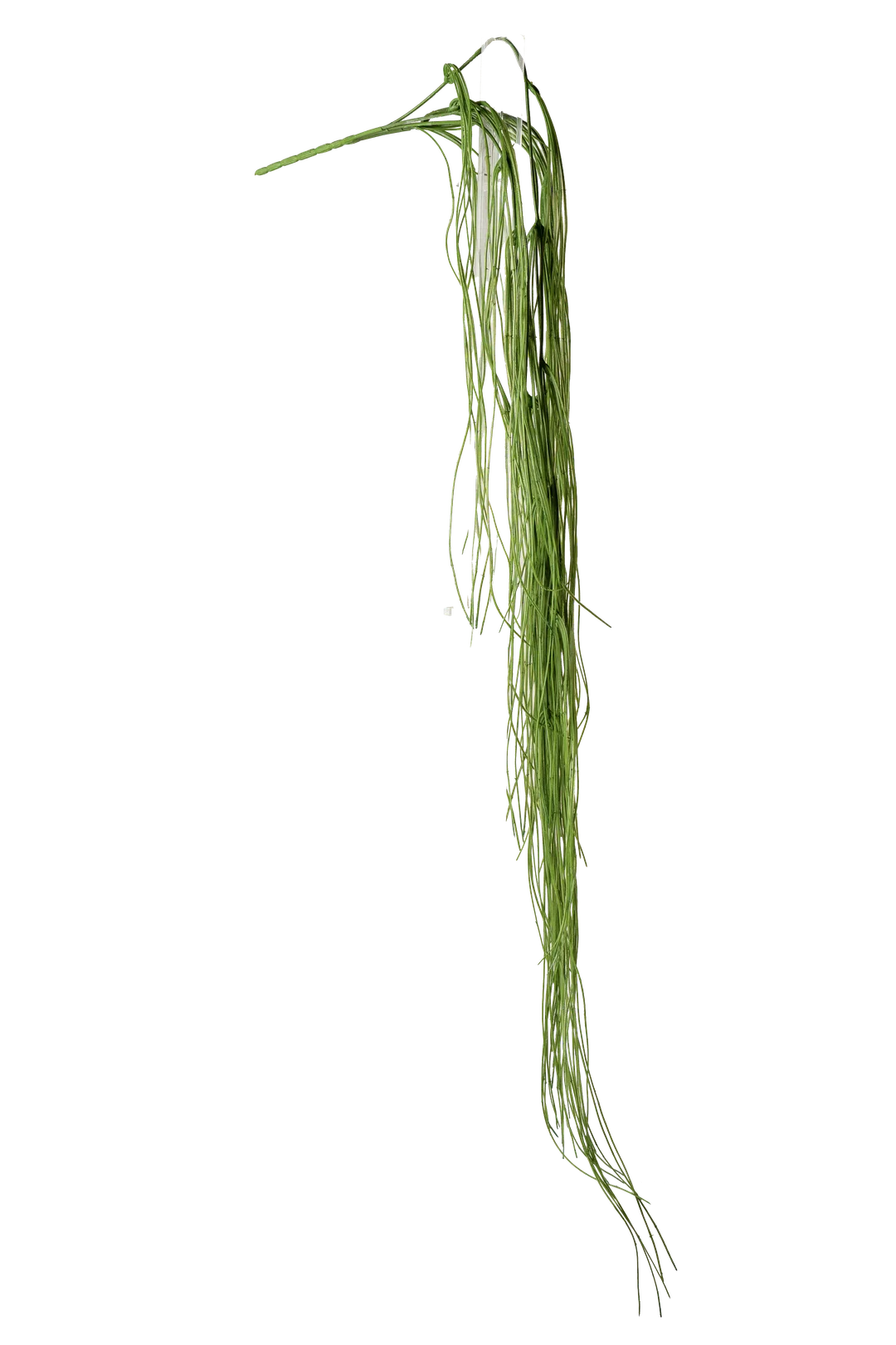 Bear Grass (Fresh Green) | Vyne Artificial Bear Grass — Fresh Green | Vyne Boutique