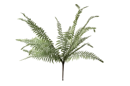 Artificial Leatherleaf Fern — Frosted Sage Green | Vyne