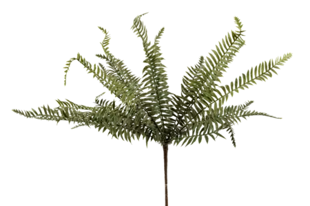 Artificial Leatherleaf Fern — Deep Pine Green | Vyne Boutique