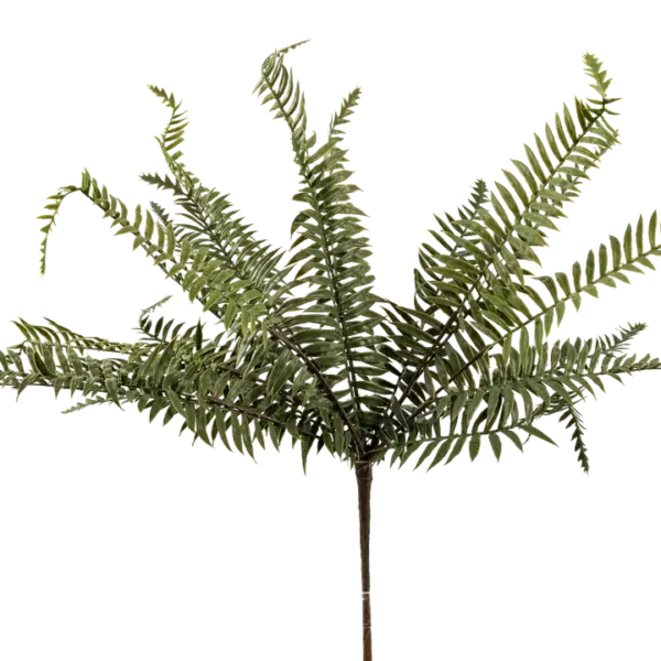 Artificial Leatherleaf Fern — Deep Pine Green | Vyne Boutique