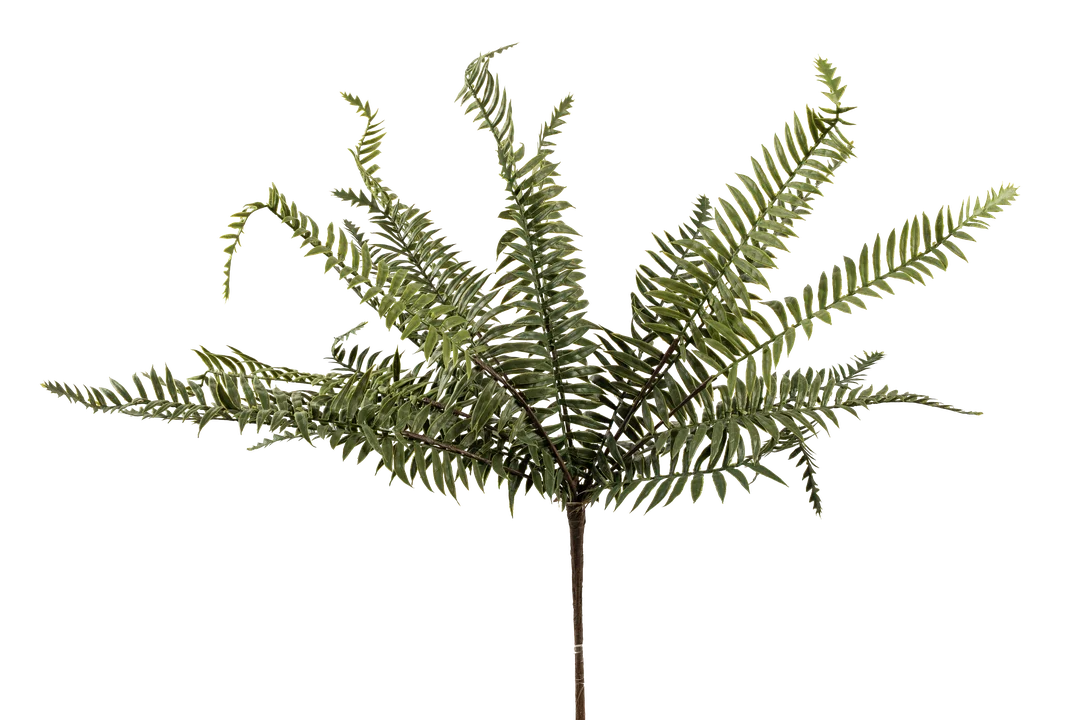 Leatherleaf Fern (Deep Pine Green) | Vyne Artificial Leatherleaf Fern — Deep Pine Green | Vyne Boutique