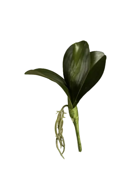 Artificial Orchid Leaf — Green Botanical Accent | Vyne