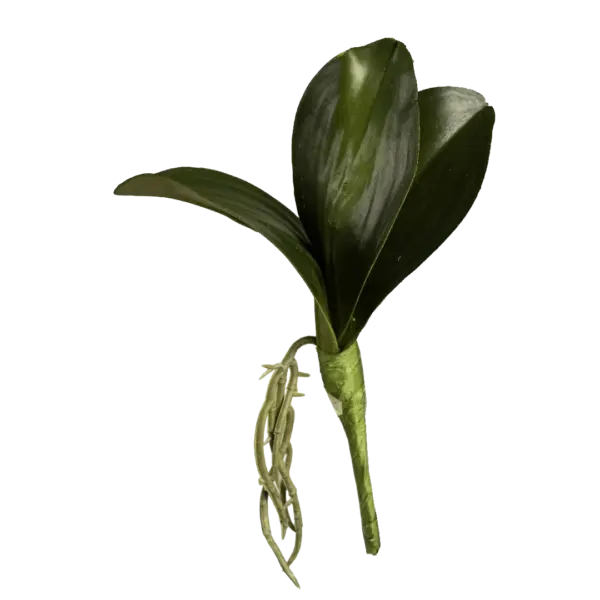 Artificial Orchid Leaf — Green Botanical Accent | Vyne