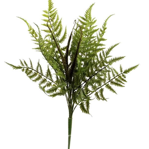 Artificial Asparagus Fern — Bright Fern Green | Vyne Boutique