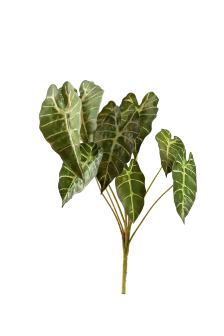 Artificial Alocasia Leaf — Lilac Frost | Vyne Boutique