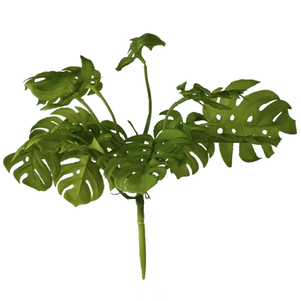 Artificial Monstera Leaf — Golden Green | Vyne Boutique