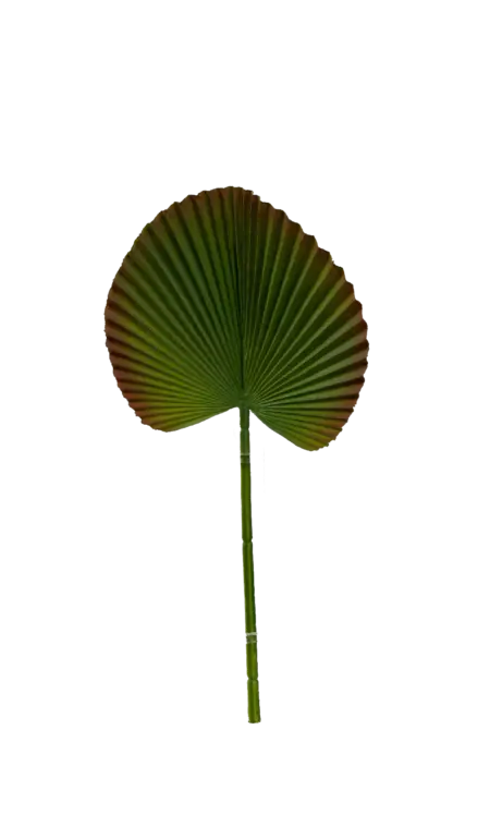 Artificial Palm Leaf — Rust Ember Rim Licuala | Vyne