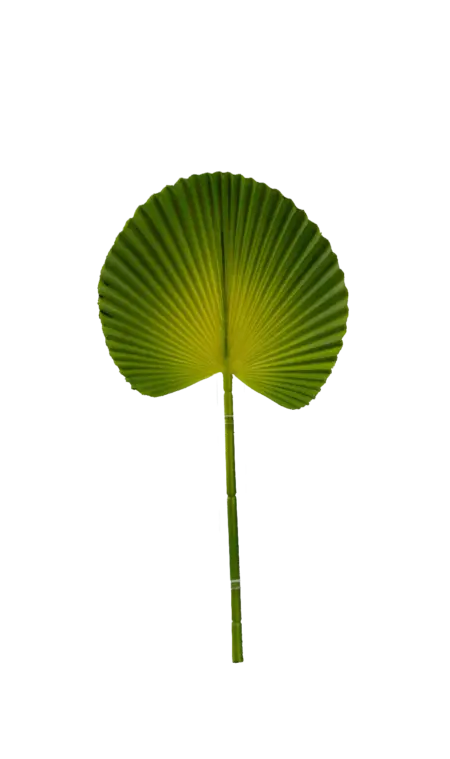 Artificial Palm Leaf — Citrus Chartreuse Licuala | Vyne
