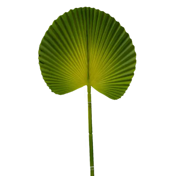 Artificial Palm Leaf — Citrus Chartreuse Licuala | Vyne