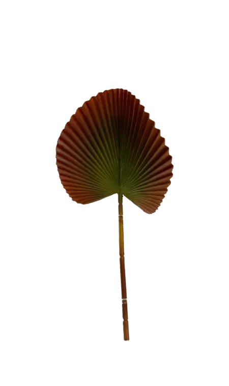 Artificial Palm Leaf — Burnt Umber Licuala | Vyne