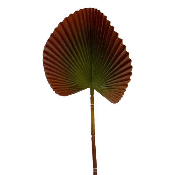 Artificial Palm Leaf — Burnt Umber Licuala | Vyne