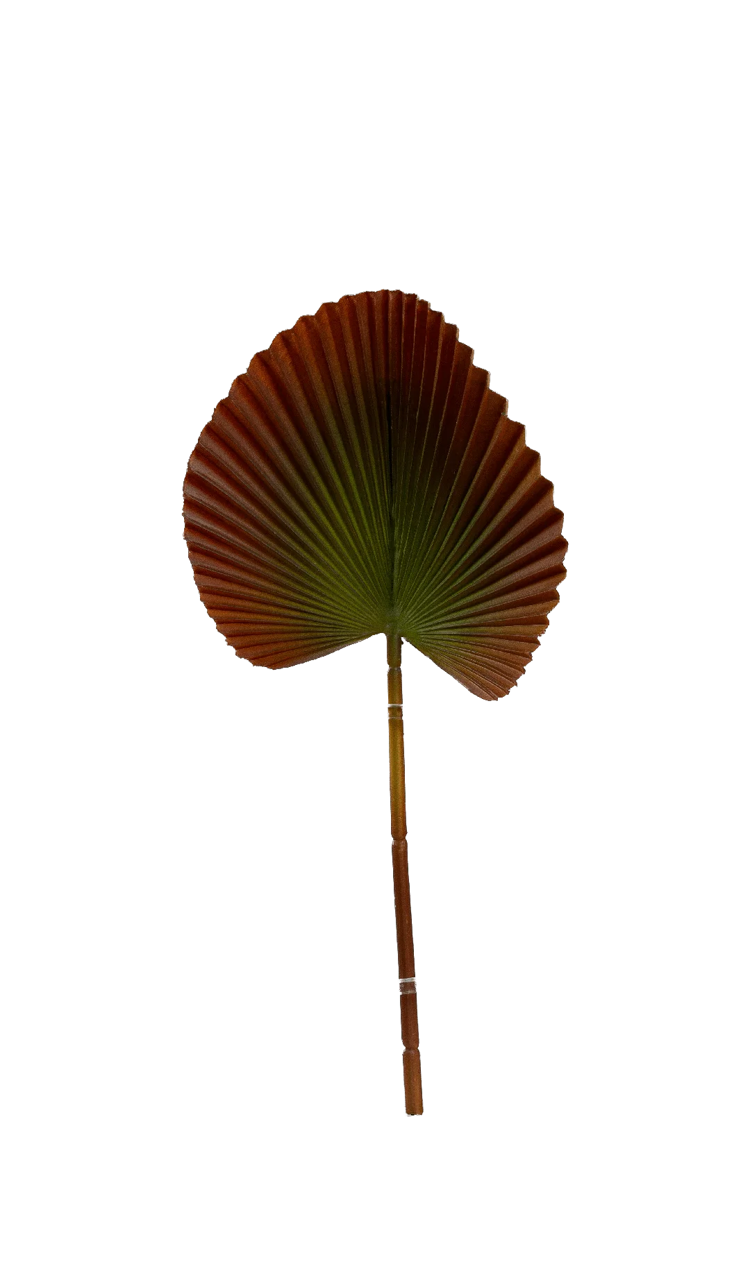 Licuala Palm Leaf (Burnt Umber Fade) | Vyne Artificial Palm Leaf — Burnt Umber Licuala | Vyne