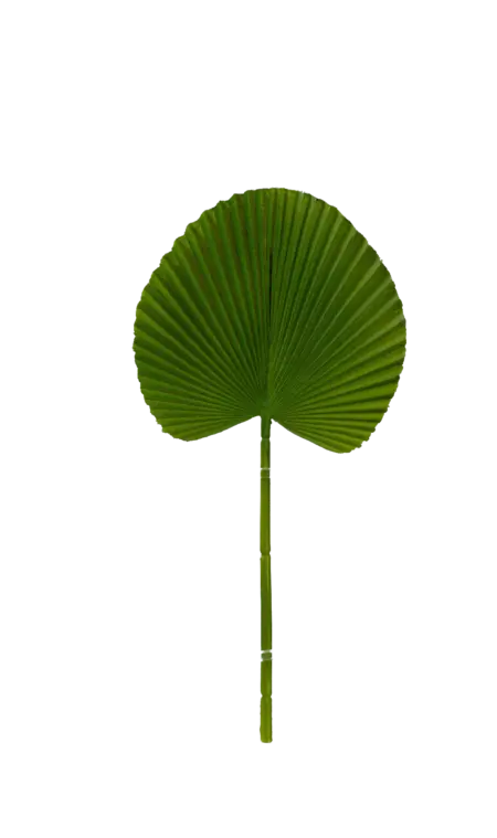 Artificial Palm Leaf — Fresh Lime Green Licuala | Vyne