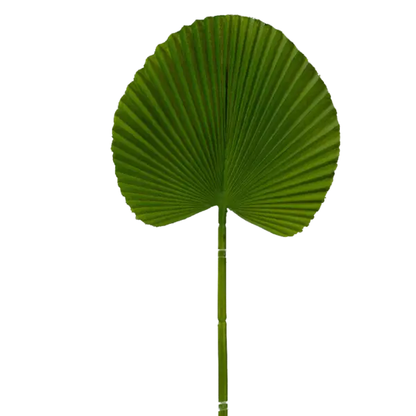 Artificial Palm Leaf — Fresh Lime Green Licuala | Vyne
