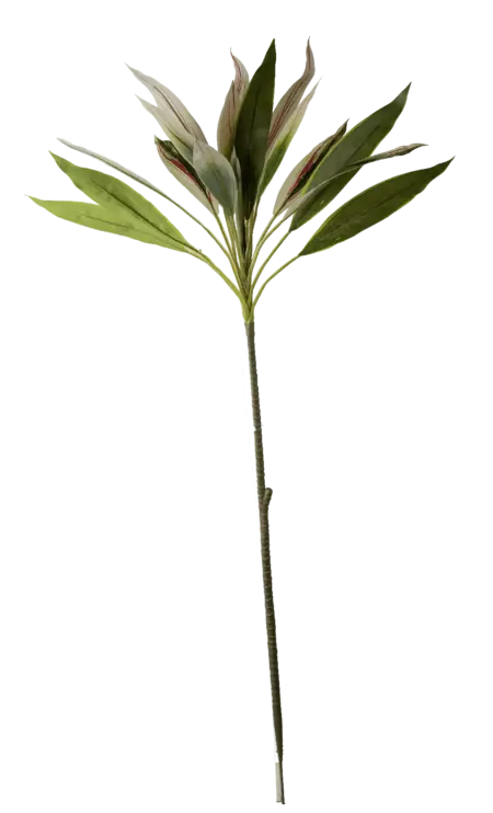 Artificial Cordyline Plant — Ivory Pinstripe | Vyne Boutique