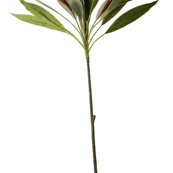 Artificial Cordyline Plant — Ivory Pinstripe | Vyne Boutique