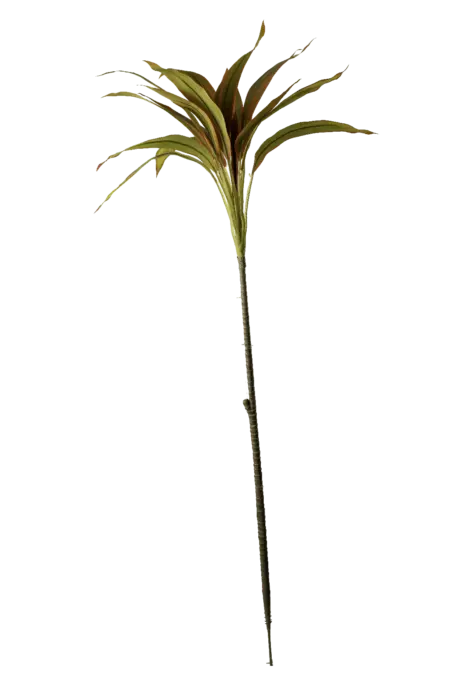 Artificial Cordyline Plant — Olive Rust Edge | Vyne Boutique