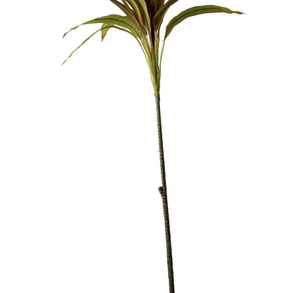 Artificial Cordyline Plant — Olive Rust Edge | Vyne Boutique