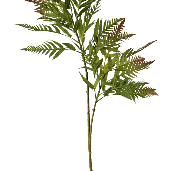 Artificial Fern Spray — Fresh Fern Green Mimosa | Vyne Boutique