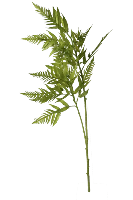 Artificial Mimosa Fern — Deep Woodland Green Mimosa | Vyne