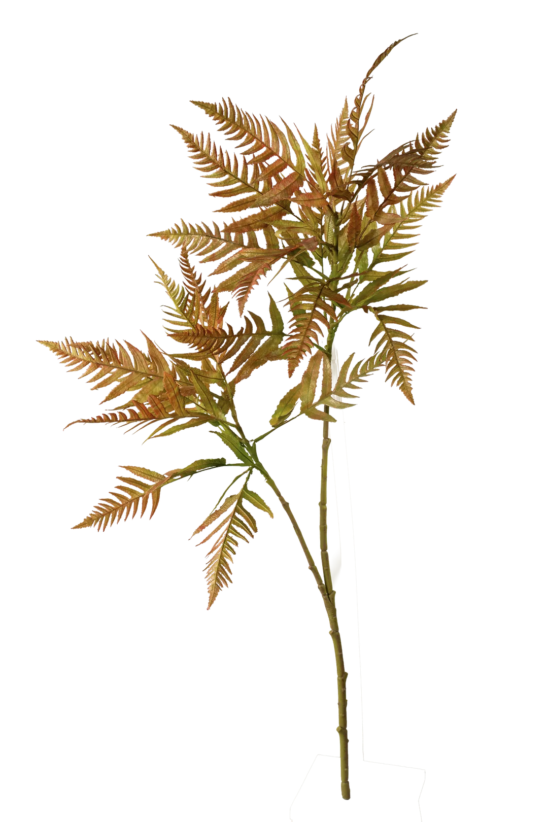 Mimosa Fern (Olive Moss Green) | Vyne Artificial Fern Spray — Olive Moss Green Mimosa | Vyne Boutique