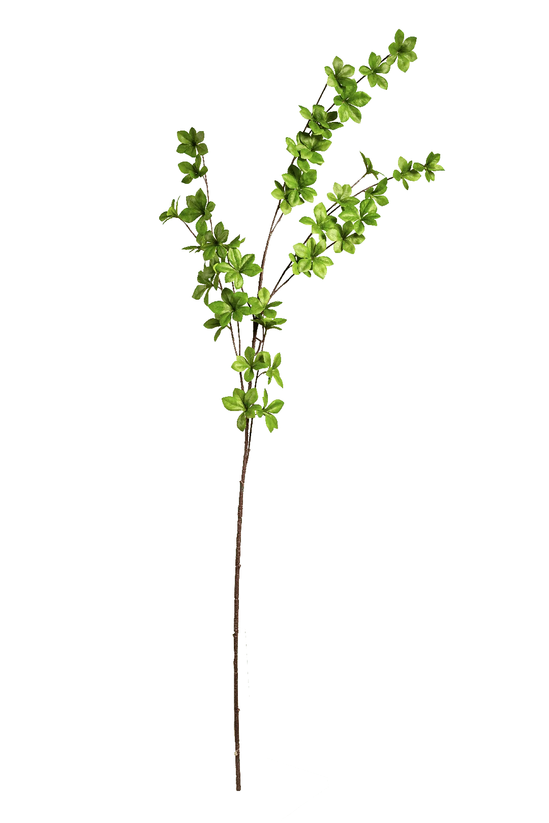 Boxwood spray | Vyne Artificial Boxwood Spray — Deep Green | Vyne Boutique