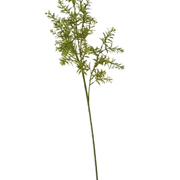 Artificial Asparagus Fern — Fresh Spring Green Spray | Vyne