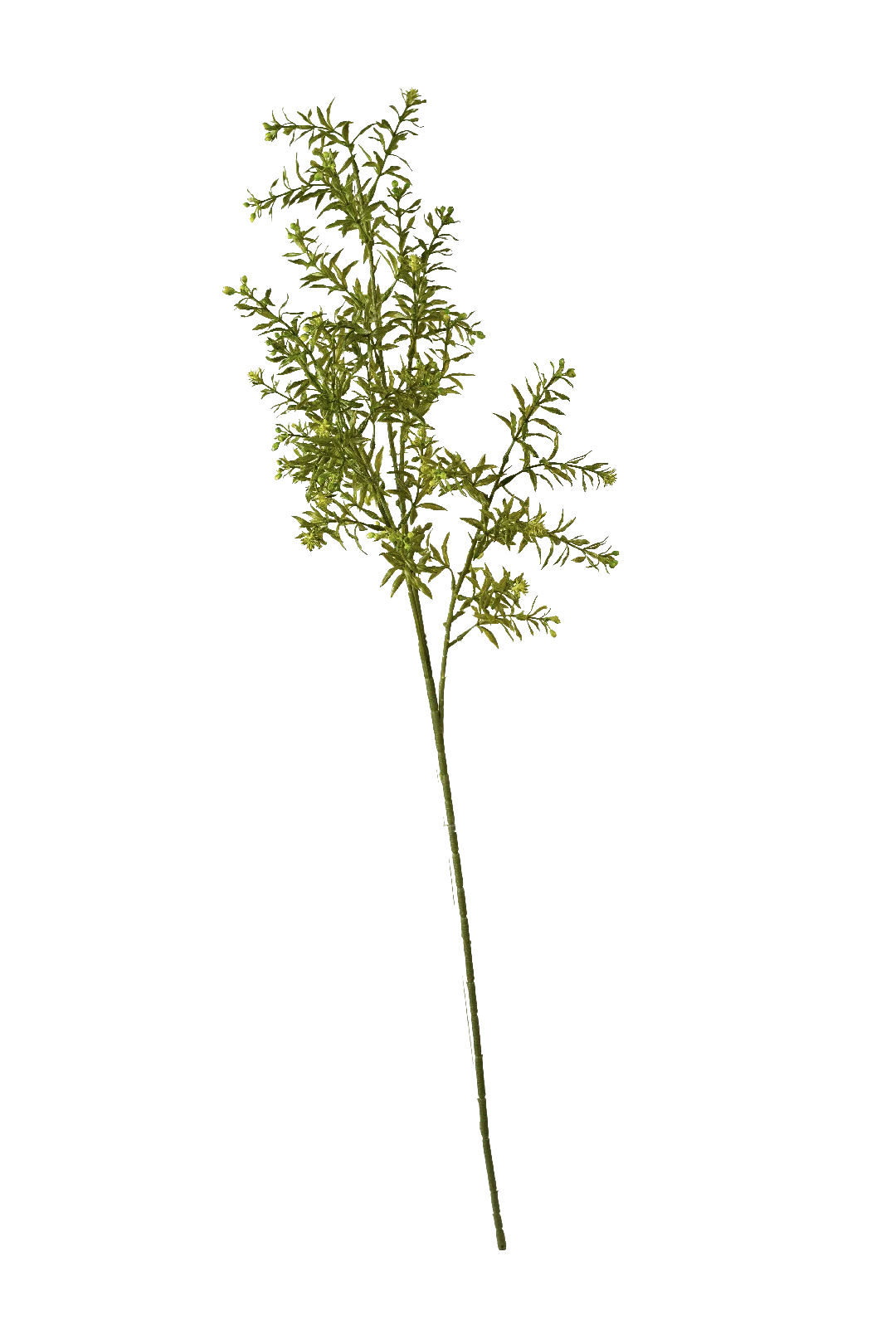 Asparagus Fern Spray (Fresh Spring Green) | Vyne Artificial Asparagus Fern — Fresh Spring Green Spray | Vyne