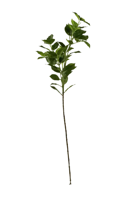 Artificial Ruscus Foliage — Deep Forest Green | Vyne Boutique