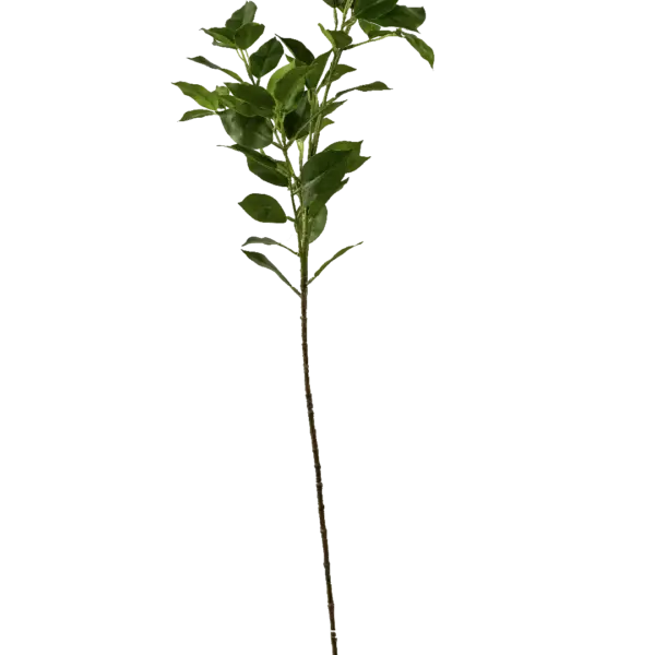 Artificial Ruscus Foliage — Deep Forest Green | Vyne Boutique