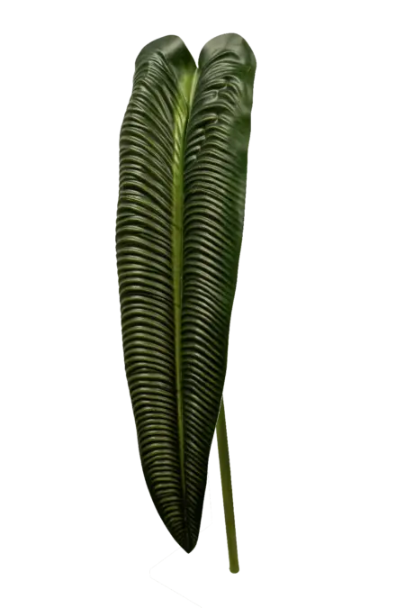 Artificial Elephant Ear Leaf — Forest Green | Vyne Boutique