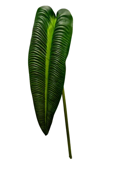 Artificial Elephant Ear Leaf — Classic Green | Vyne Boutique