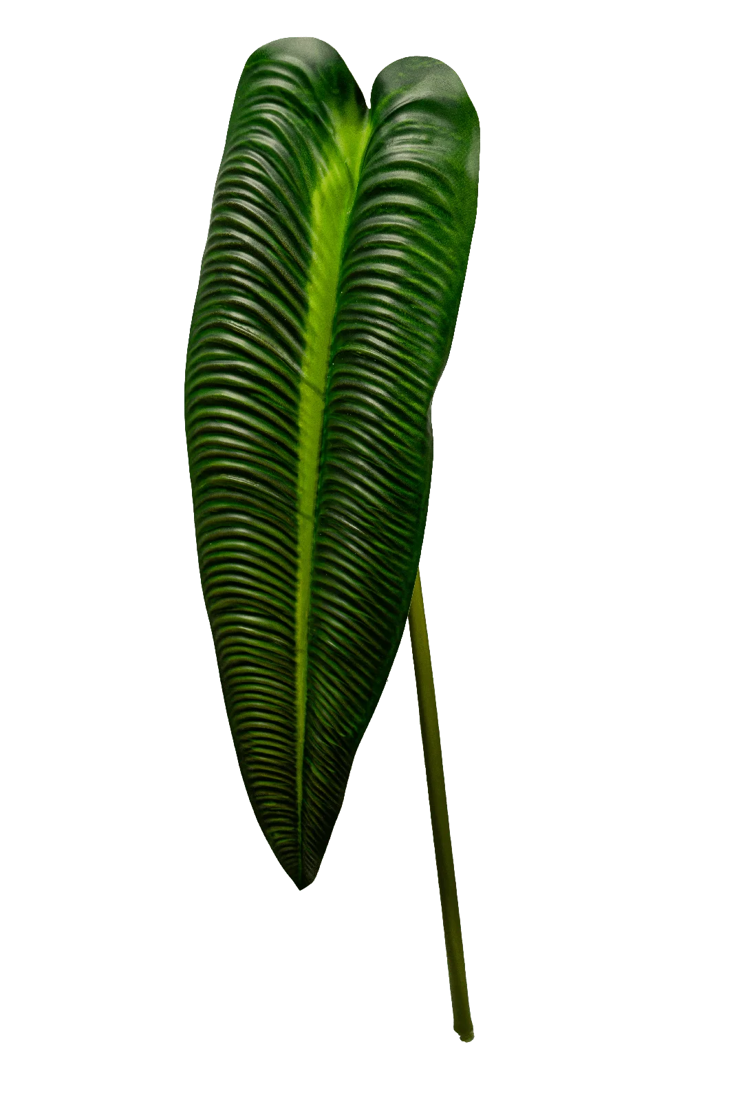 Elephant Ear (Classic Green) | Vyne Artificial Elephant Ear Leaf — Classic Green | Vyne Boutique